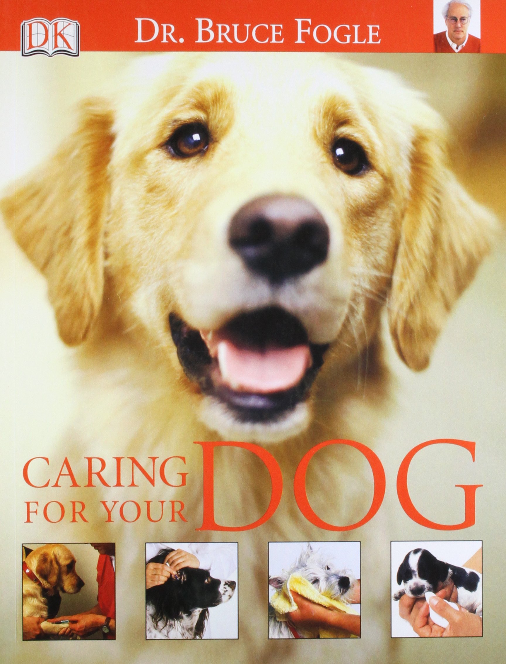 what kind of dog did teddy roosevelt have