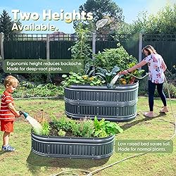 KING BIRD Raised Garden Bed Kit 2025 Upgraded