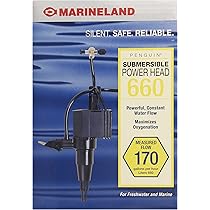 live plants aquarium online