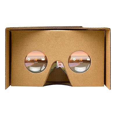 Google 87002823-01 Official Cardboard- 2 Pack, Brown