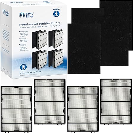Fette Filter - Pack de 4 filtros HEPA y 8 prefiltros de carbón ...