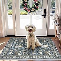 Washable 2x3 Runner Rug for Entryway: Easy-Clean