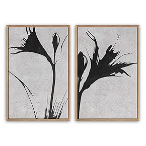 SIGNWIN 2 Piece Framed Canvas Wall Art Black...