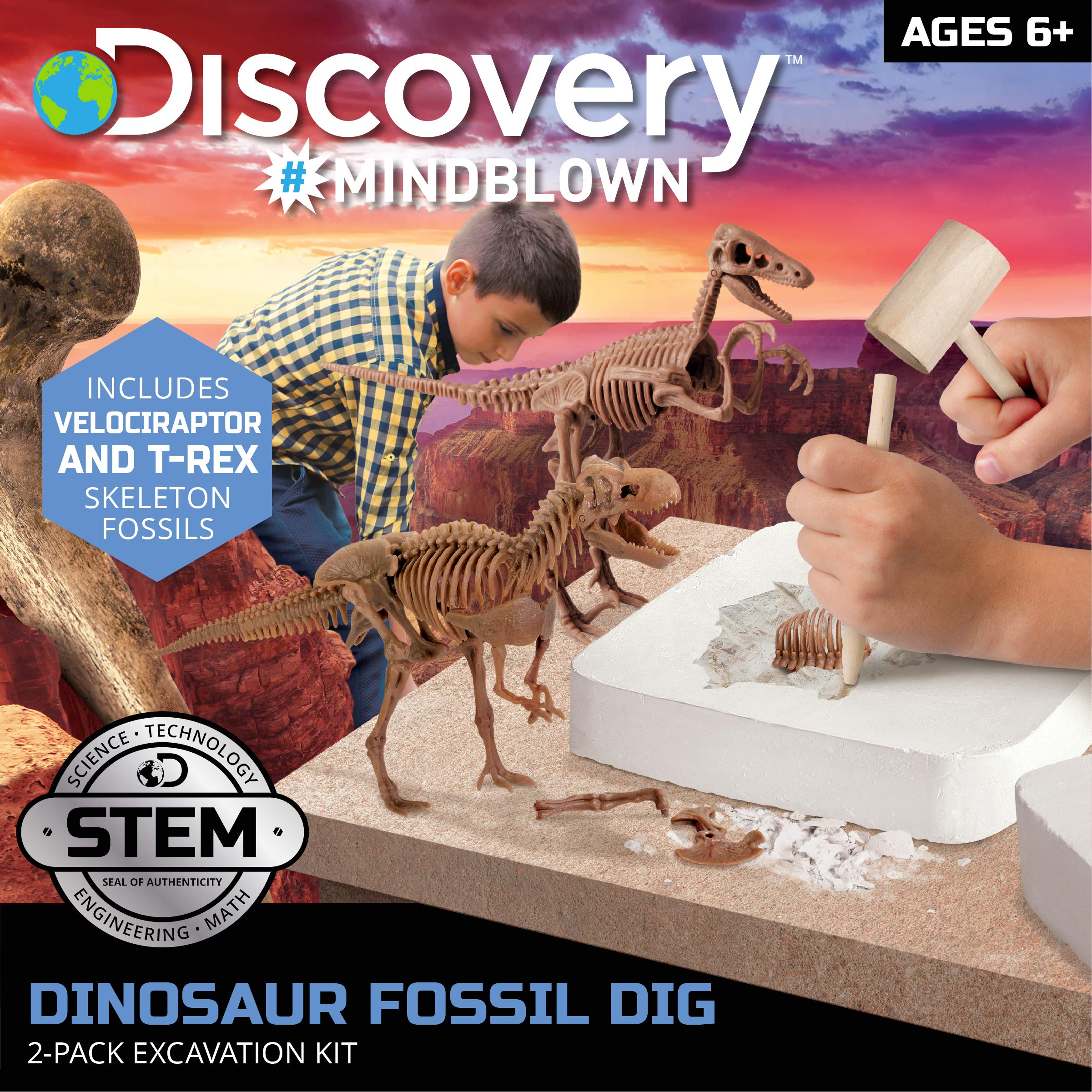 Discovery™ Dinosaur Fossil Dig Kit – Excavate & Assemble T-Rex & Velociraptor Skeletons| 3D Dino Bones Puzzles| Jurassic Paleontology Toy for Kids| STEM Science Activity Set| Girls & Boys Gift Ages 6+