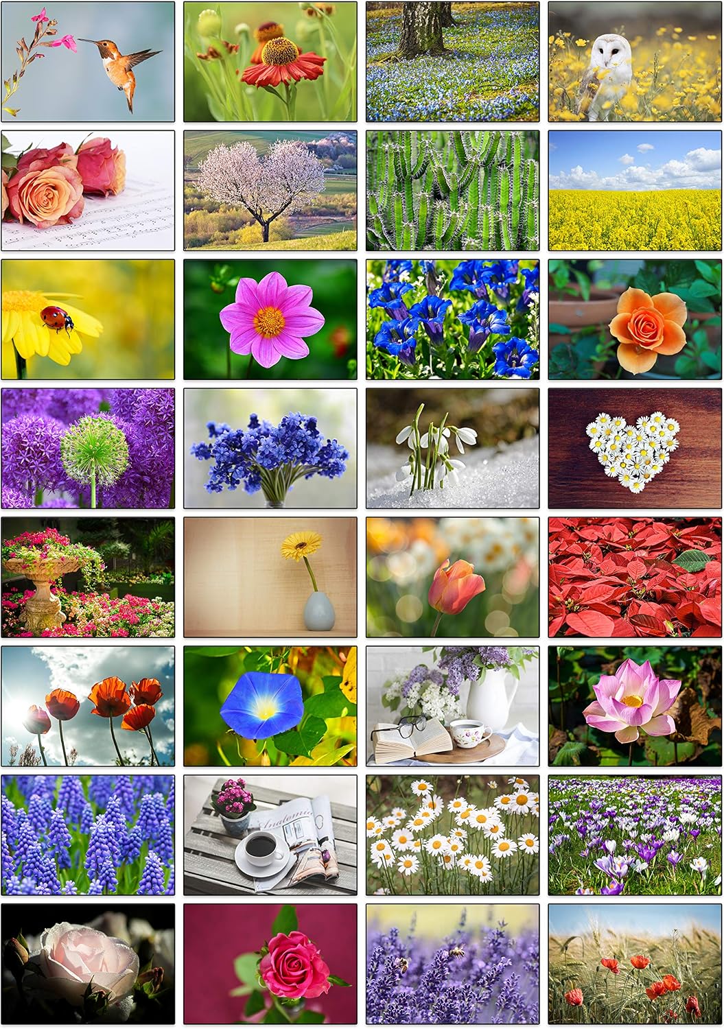 32 Different Flower Photo Blank Greeting Cards, Multicoloured, A6 (14.8 cm x 10.5 cm)