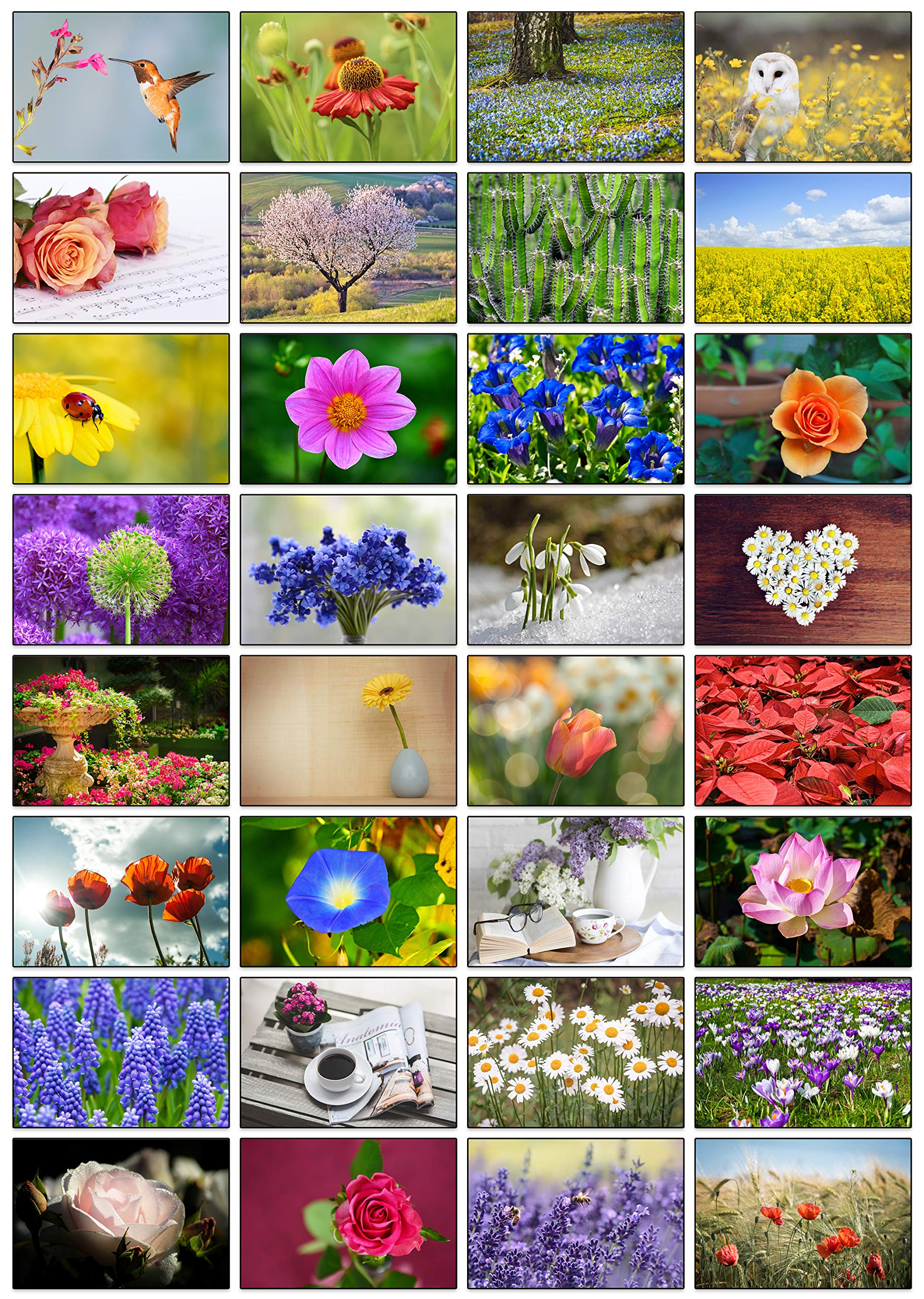 32 Different Flower Photo Blank Greeting Cards