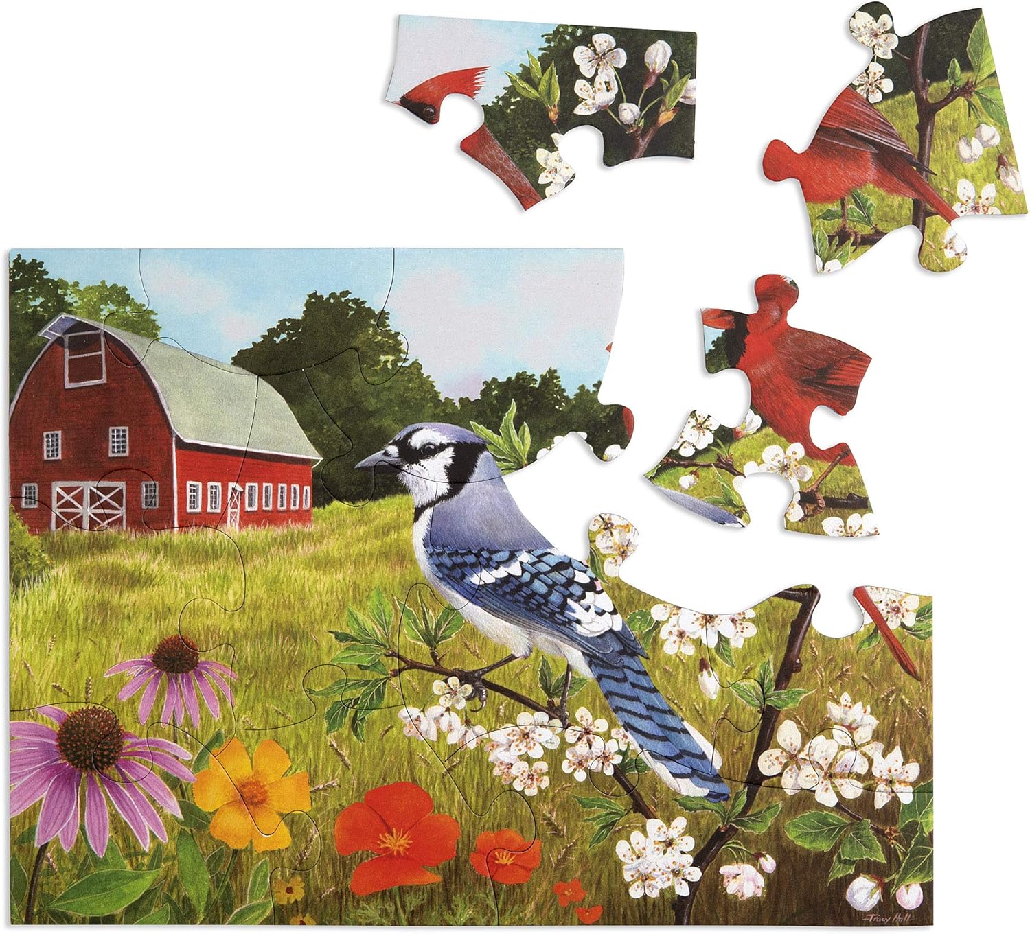 Relish 13 Piece Summer Birds Dementia Jigsaw Puzzle Puzzles for People with Alzheimer’s