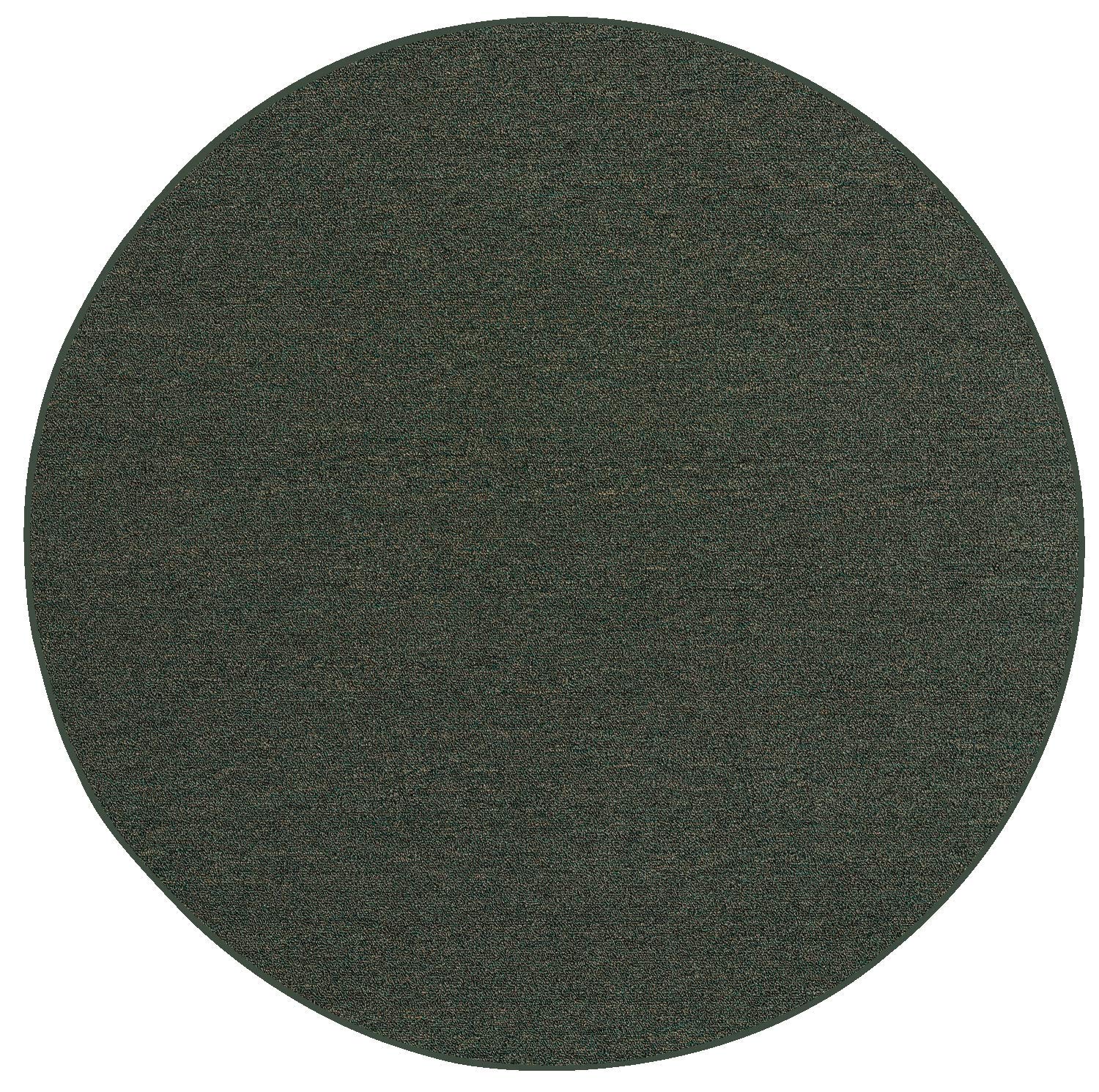 Best Store Bought Carpet Cleaners