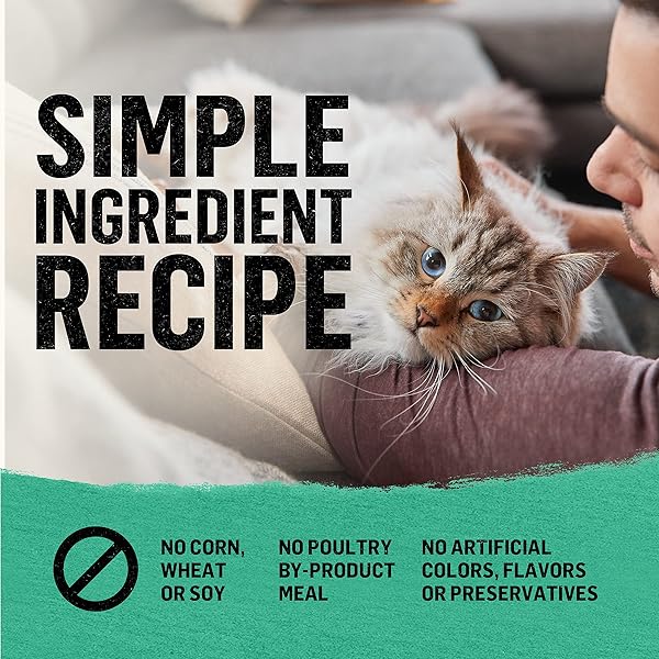PURINA BEYOND NATURAL GRAIN FREE DRY CAT FOOD WHITEFISH AND EGG RECIPE WITH ADDED VITAMINS, MINERALS AND NUTRIENTS – 3 LB. BAG