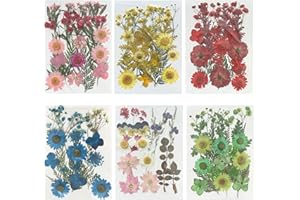 Woohome 126PCS Real Pressed Flowers, Dried Pressed Flowers Colorful Real Pressed Flowers for Resin Nail Art Scrapbooking Candle Jewelry Making Real Dried Pressed Flowers Resin Supplies Kit