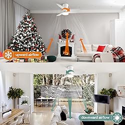 SUNMORY Ceiling Fans with Lights and Remote, 30