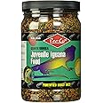 Rep-Cal Srp00802 Juvenile Iguana Food, 14.5-Ounce