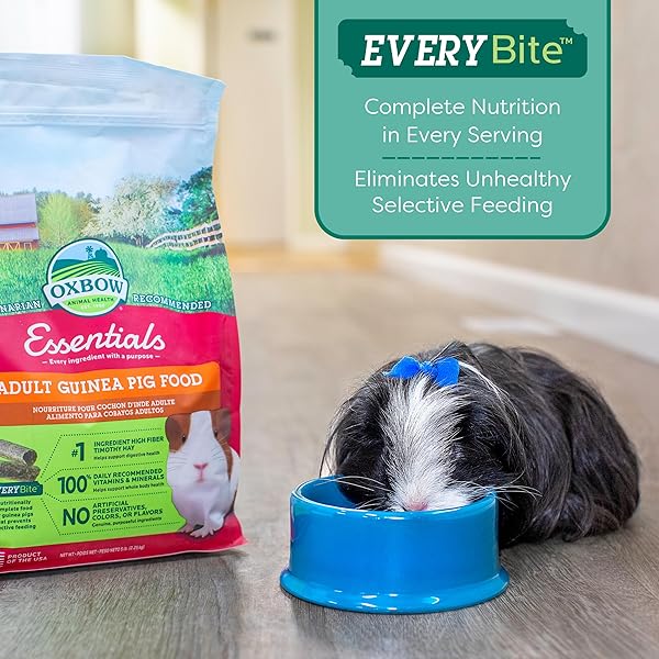 OXBOW ESSENTIALS GUINEA PIG FOOD, ADULT GUINEA PIG, MADE WITH OXBOW TIMOTHY HAY, PET FOOD PELLETS WITH VITAMIN C, SMALL ANIMAL PET PRODUCTS, MADE IN USA, HIGH FIBER, 10 LB. BAG
