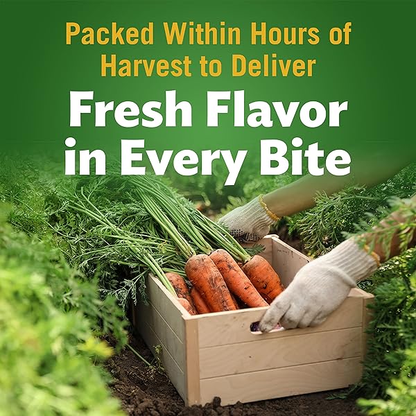 DEL MONTE FRESH CUT SLICED CARROTS 14.5 OZ. CAN, CANNED VEGETABLES