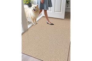 Color&Geometry Indoor Door Mat Non Slip Rubber Backed Dirt Trapper 48"x72"(Rolled-up NO Creases), Ultra Thin Rugs for Entrywa