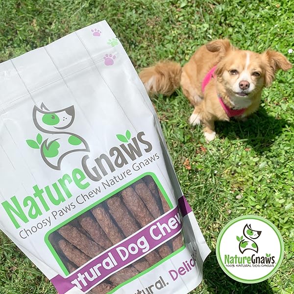 NATURE GNAWS BEEF CHEW STICKS FOR DOGS 1LB – PREMIUM NATURAL DOG TREATS – LIMITED INGREDIENT LONG LASTING RAWHIDE FREE DENTAL CHEWS