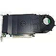 Amazon.com: New Dell Ultra SSD M.2 PCIe x4 Solid State Storage Adapter ...