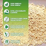 Croci Eco Clean Litter 10 L Clumping Biodegradable Cat Litter view 2