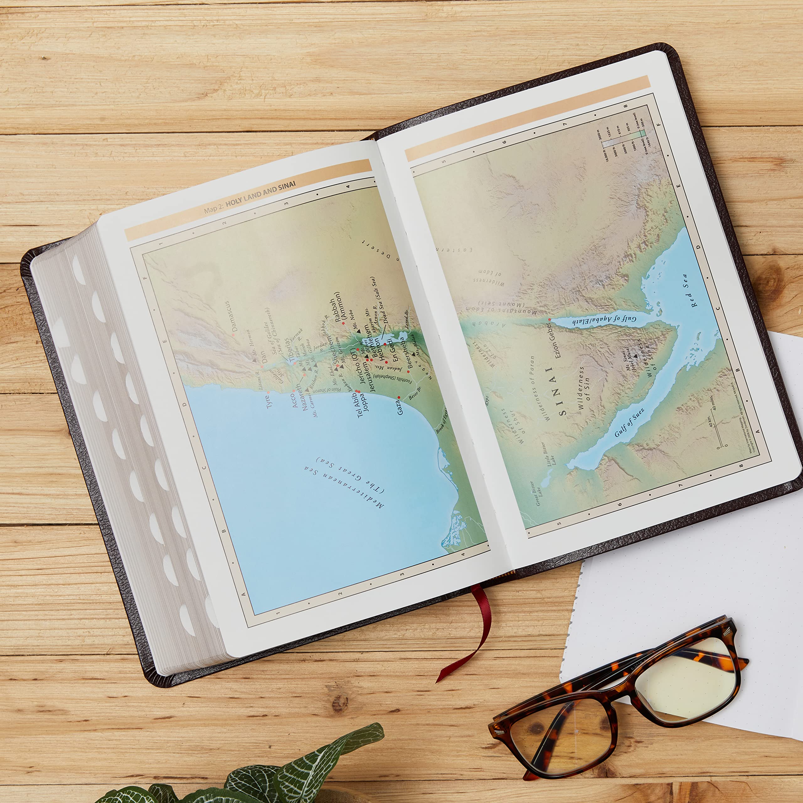 KJV Life in the Spirit Study Bible, Indexed