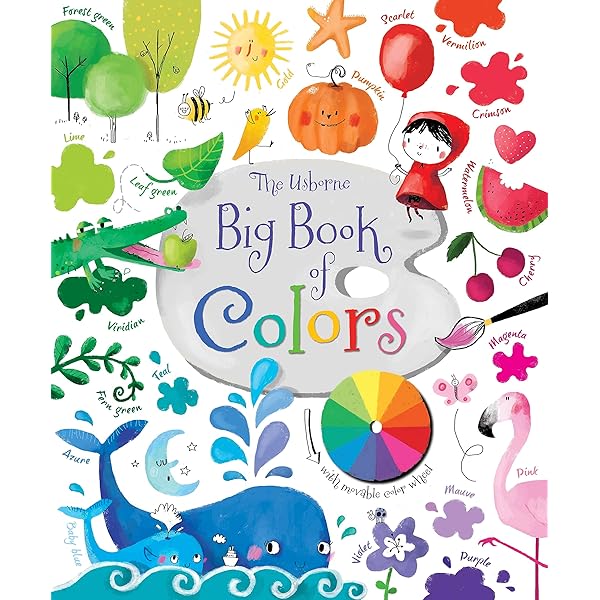 The Colour of a by Bill Brooks 洋書 Big Book Of Colours: Brooks, Felicity: 9781409582472: Amazon.com