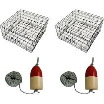 593882_5 593882_5