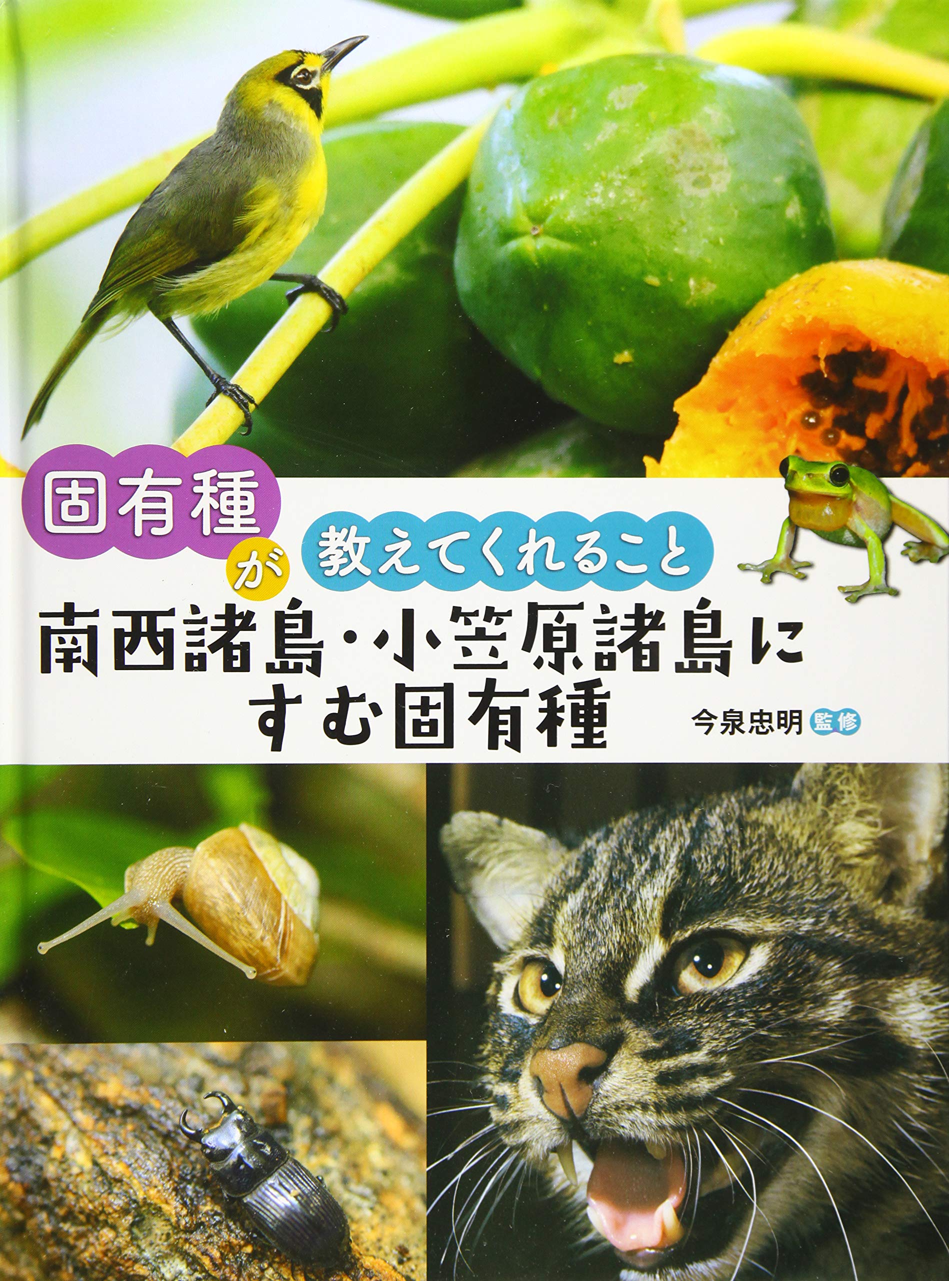 南西諸島 小笠原諸島にすむ固有種 固有種が教えてくれること Amazon Com Books