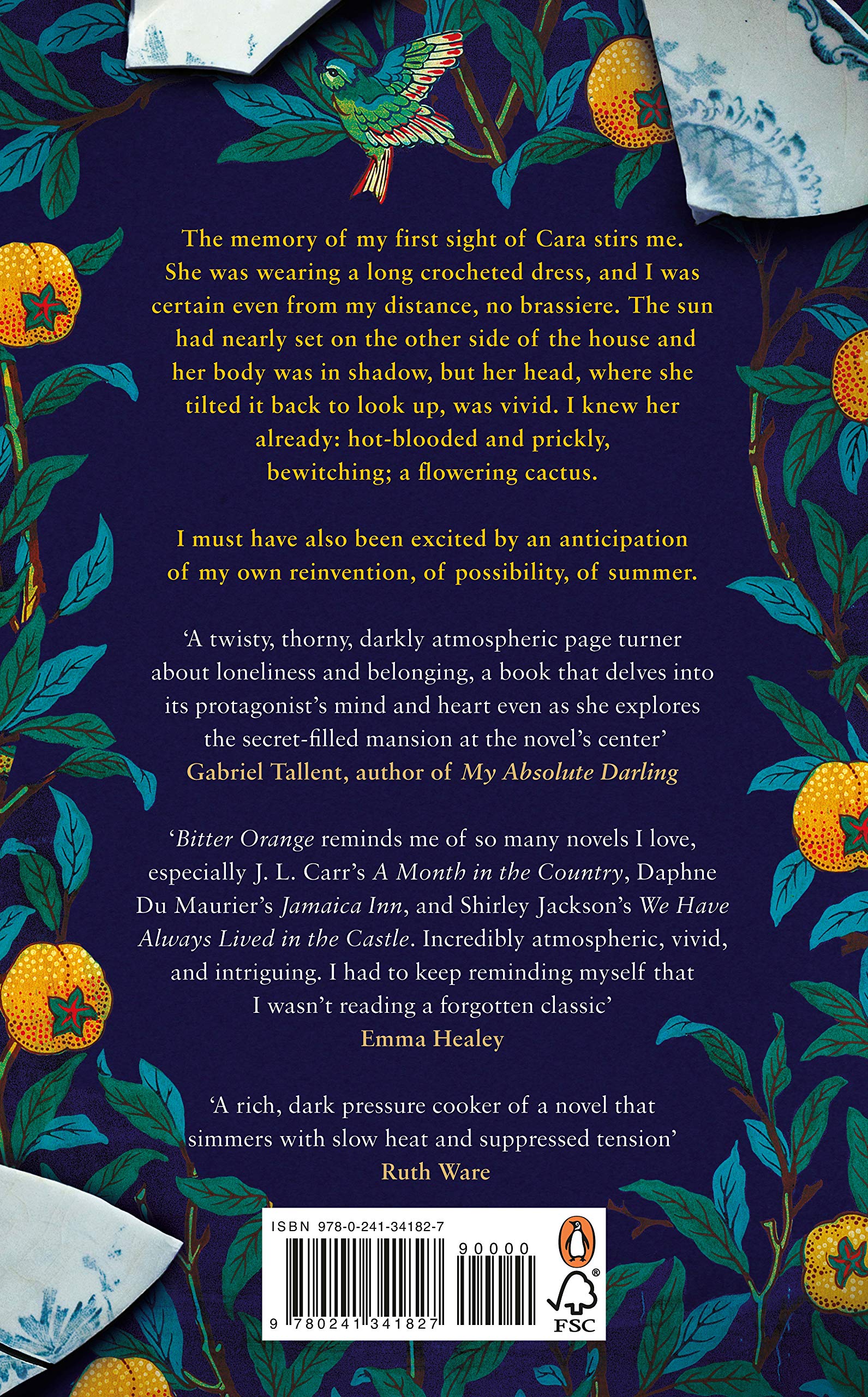 Bitter Orange Book Plot / Claire Fuller Writer The difficulties