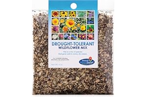 BEAUTY BEYOND BELIEF Drought Tolerant Wildflower Seeds - 4oz, Open-Pollinated Bulk Flower Seed Mix for Beautiful Perennial, Annual Garden Flowers - No Fillers - 4 oz Packet