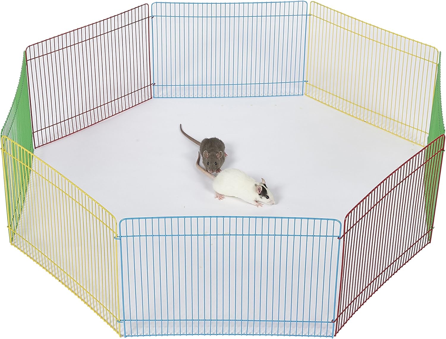 dwarf hamster playpen uk