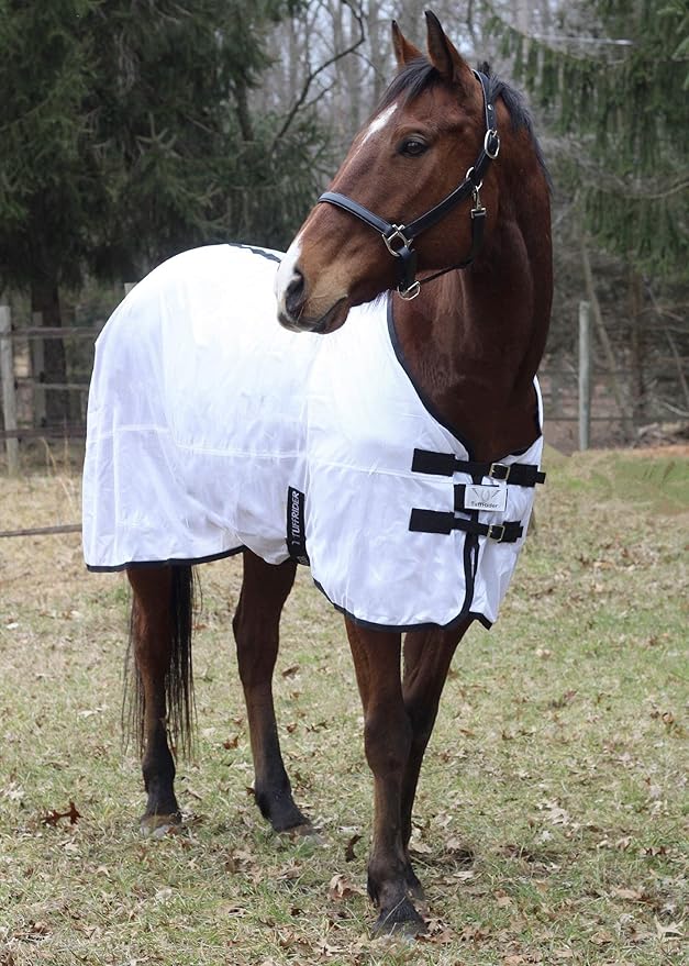 Best Horse Fly Sheets With Belly Band Best Horse Rider
