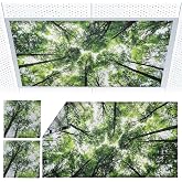 Torixqi 2pk Fluorescent Light Covers for Ceiling Lights Classroom Magnetic | Reduces glare and eye strain from fluorescent/LED lights. Magnetic design suitable for home/office/hospital (4 x 2 feet)