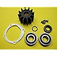 PLESIU BB Johnson Sea Water Pump Repair Service Rebuild Kit with Bearings and Impeller 09-1027B-1 F5B-9 10-24228-1