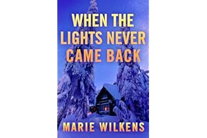 When the Lights Never Came Back: An EMP Post Apocalypse Prepper Survival Thriller