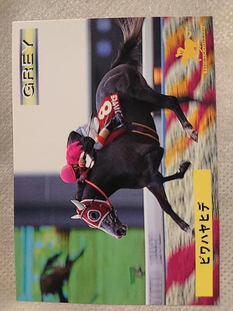 Amazon 競馬カード メモリアルカード Thoroughbred ビワハヤヒデ 114 カードゲーム トランプ おもちゃ