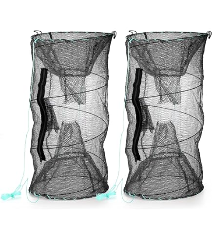 Cage piège à treillis métallique - Alibaba