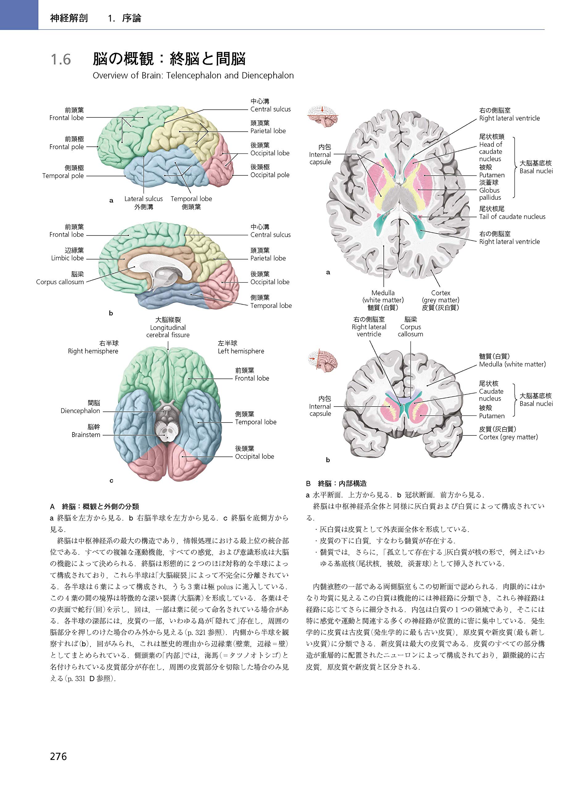 プロメテウス解剖学アトラス 頭頸部 神経解剖 第3版 Amazon Com Books プロメテウス解剖学アトラス 頭頸部 神経解剖 第3版 Amazon Com Books