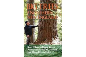 Big Trees of Northern New England