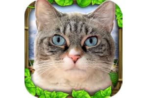 Stray Cat Simulator