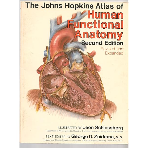 Hand-Atlas of Human Anatomy One-Volume Edition: Spalteholz, Werner