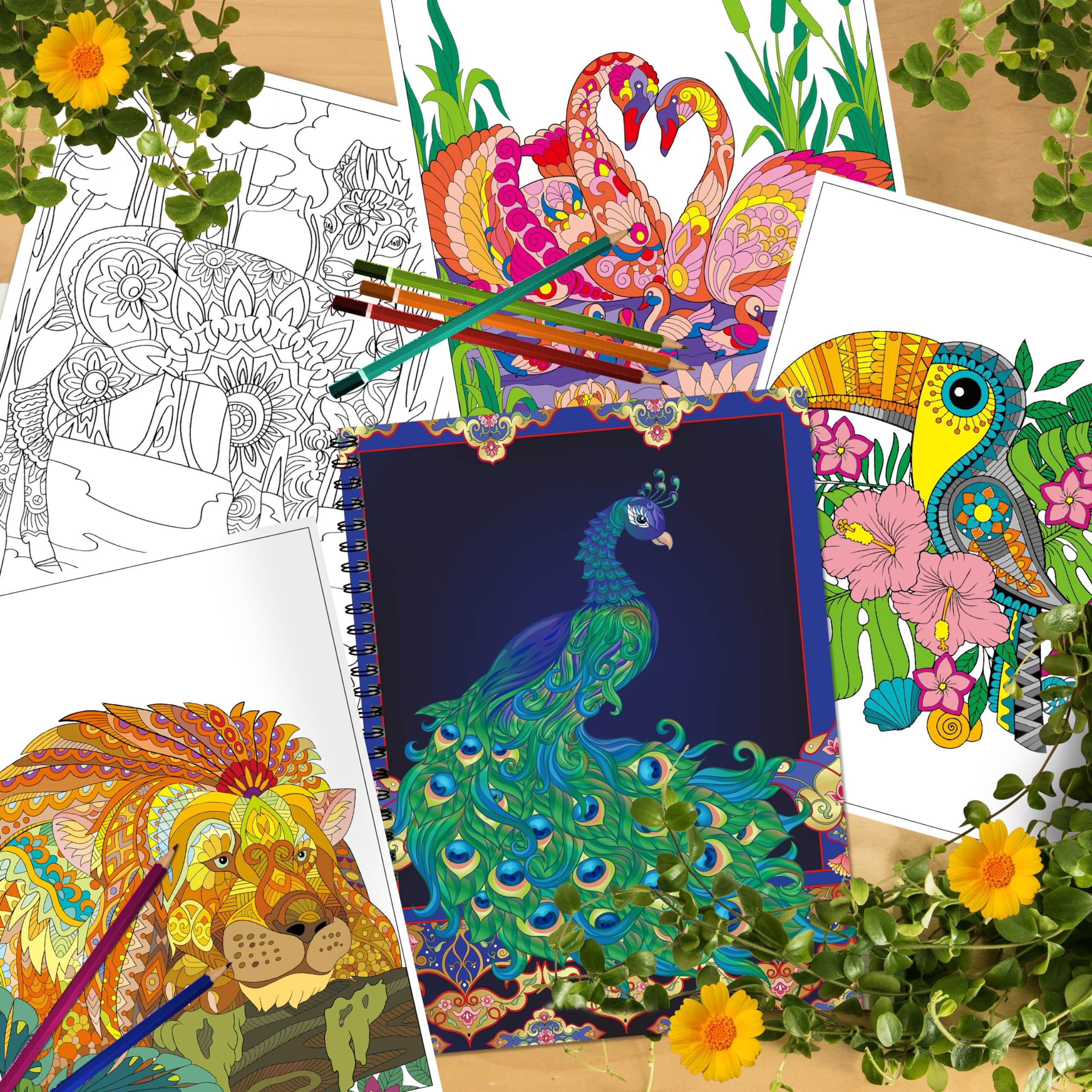 Kalysky Adult Coloring Books Set:3 Coloring Books for Adults Animal Flowers & Other Themes Designs.Coloring Books for Adults to Relax and Relieve Anxiety