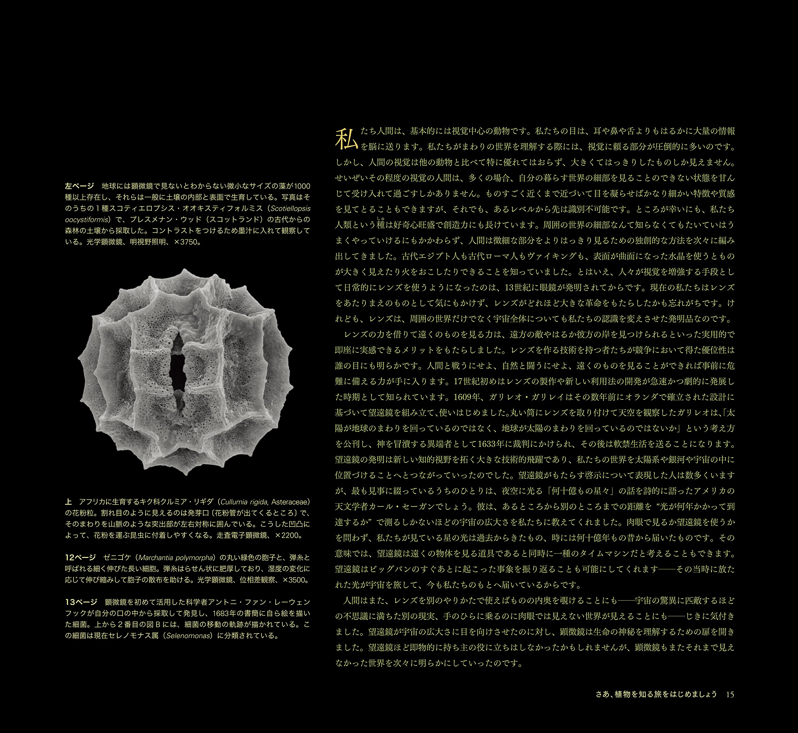 世界で一番美しい植物細胞図鑑 Amazon Com Books