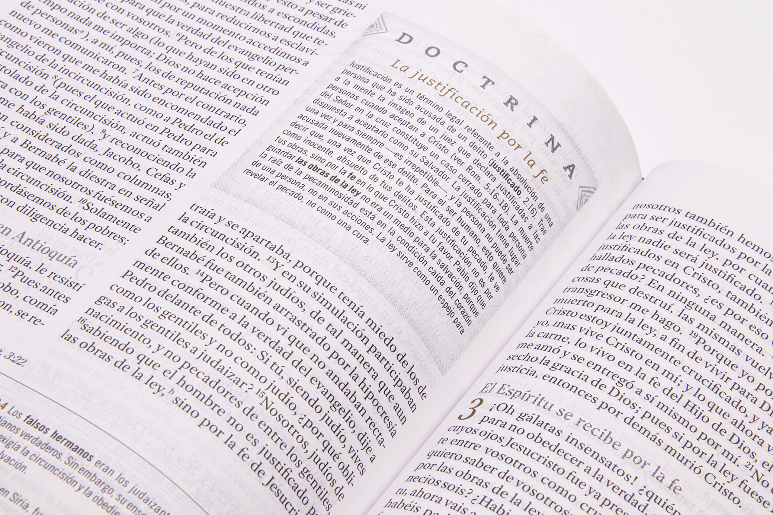 Biblia Reina Valera 1960 de Estudio para Mujeres, Tapa dura | RVR 1960 Women's Study Bible, Hardcover (Spanish Edition) Biblia Reina Valera 1960 de Estudio para Mujeres, Tapa dura | RVR 1960 Women's Study Bible, Hardcover (Spanish Edition) Hardcover