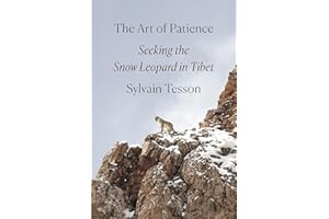 The Art of Patience: Seeking the Snow Leopard in Tibet