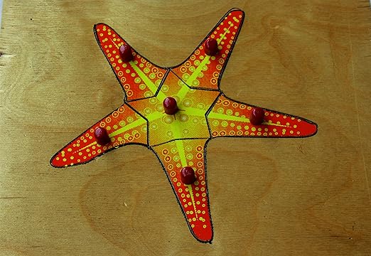 Jnanamudra Montessori Zoology STAR FISH Puzzles