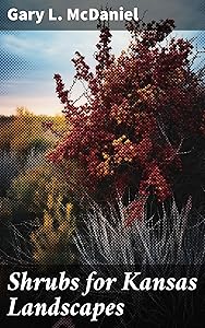 kindle best category lists