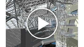 A video posted by the author.