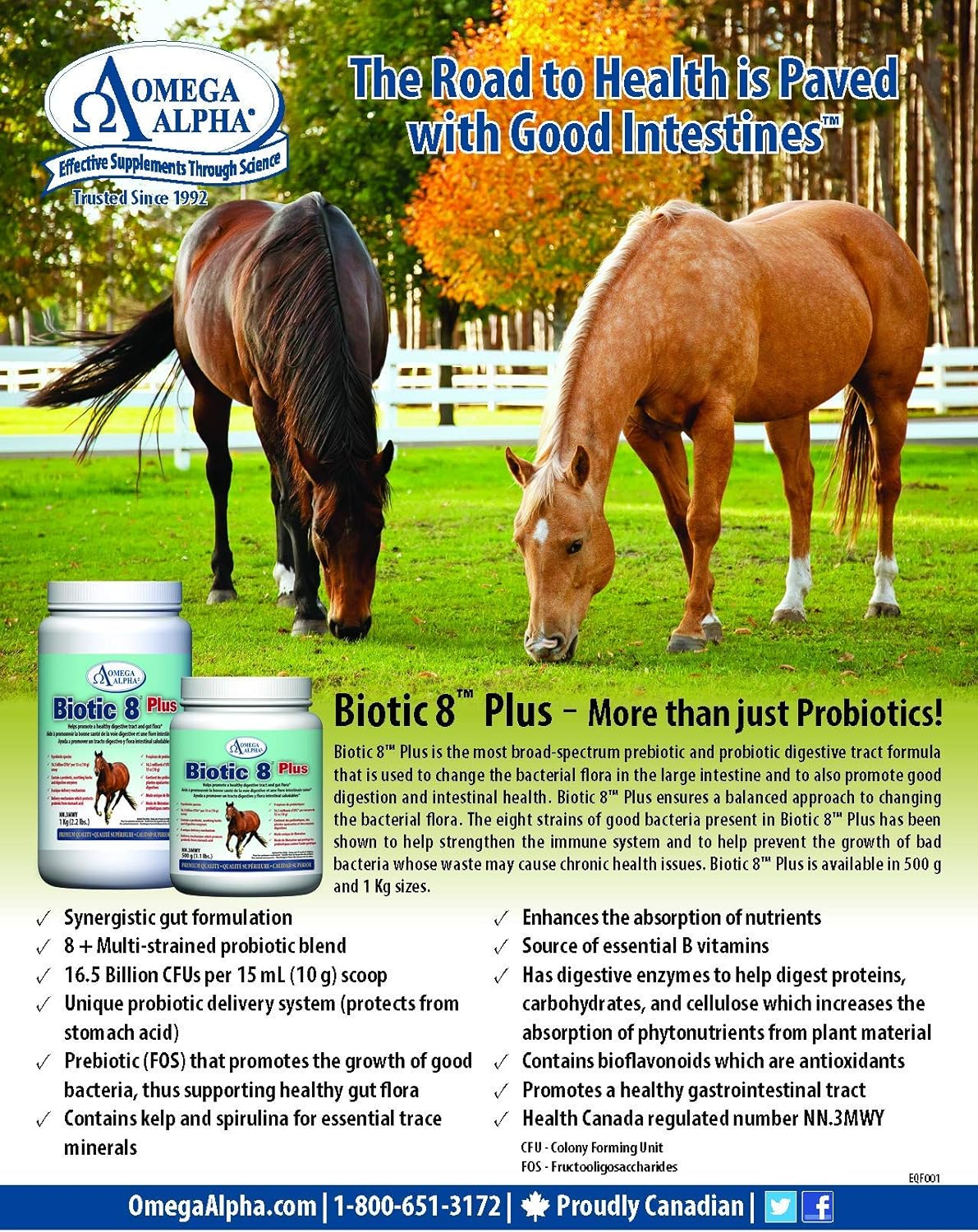 Omega Alpha Biotic 8 2.2lbs for horses: Sports & Outdoors