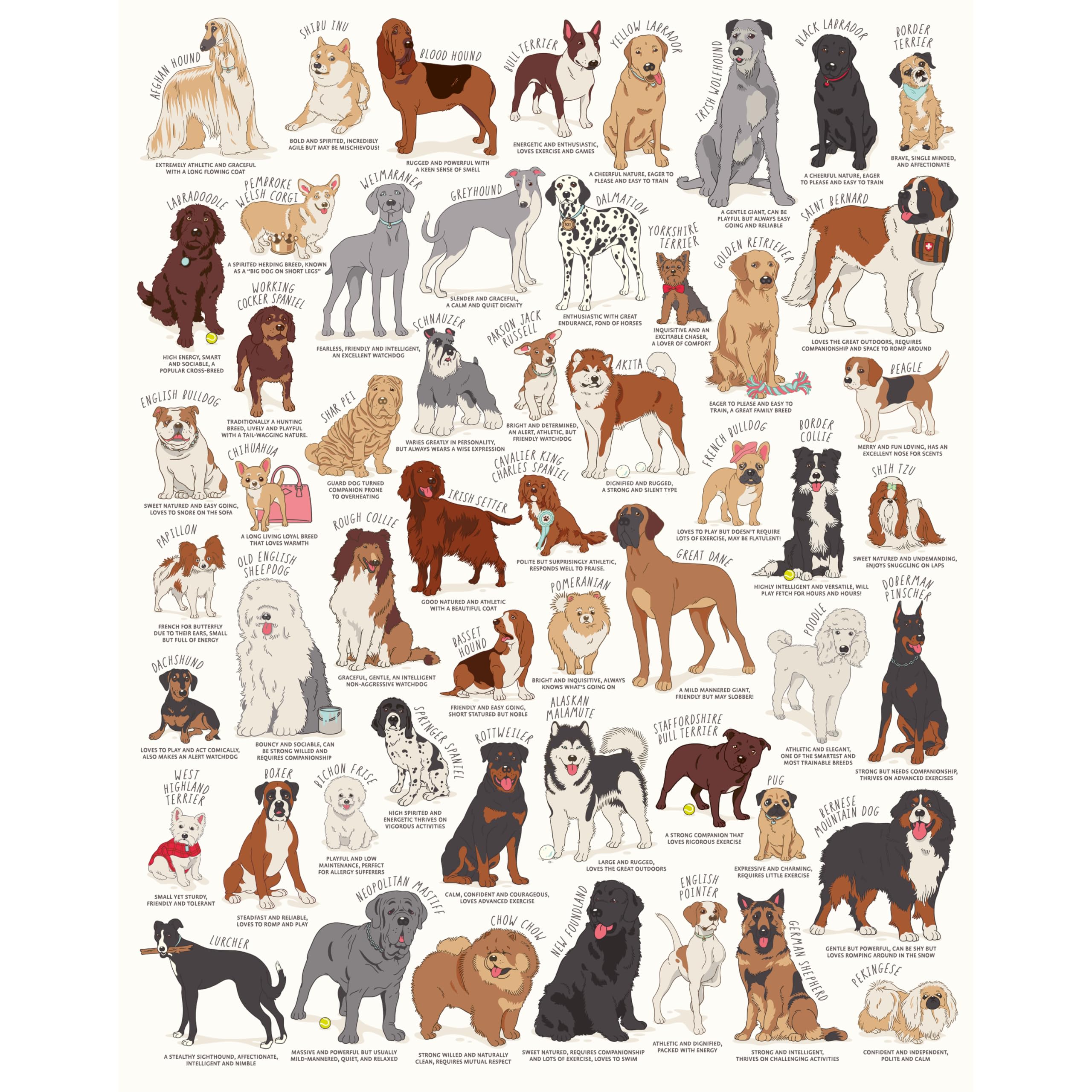 Ridley's Games JIG056 Dog Lovers Jigsaw Puzzle, White, 1000 Piece