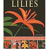 Lilies: An Illustrated Guide To Varieties, Cultivation And Care, With Step-By-Step Instructions And Over 150 Stunning Photogr