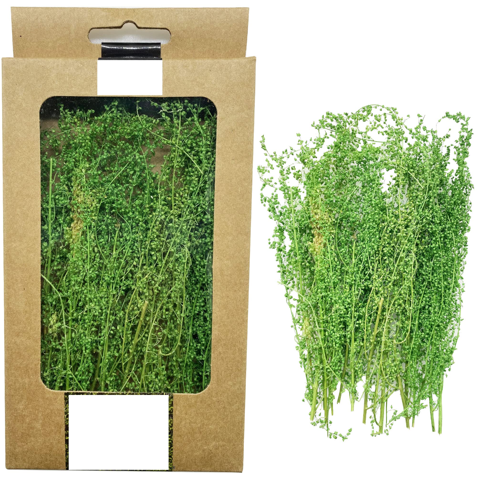 Cayway Miniature Shrubs Model Bushes Long Shrub Vegetation Groups Static Grass Tuft for DIY Model Train Landscape Railroad Scenery, Grass green